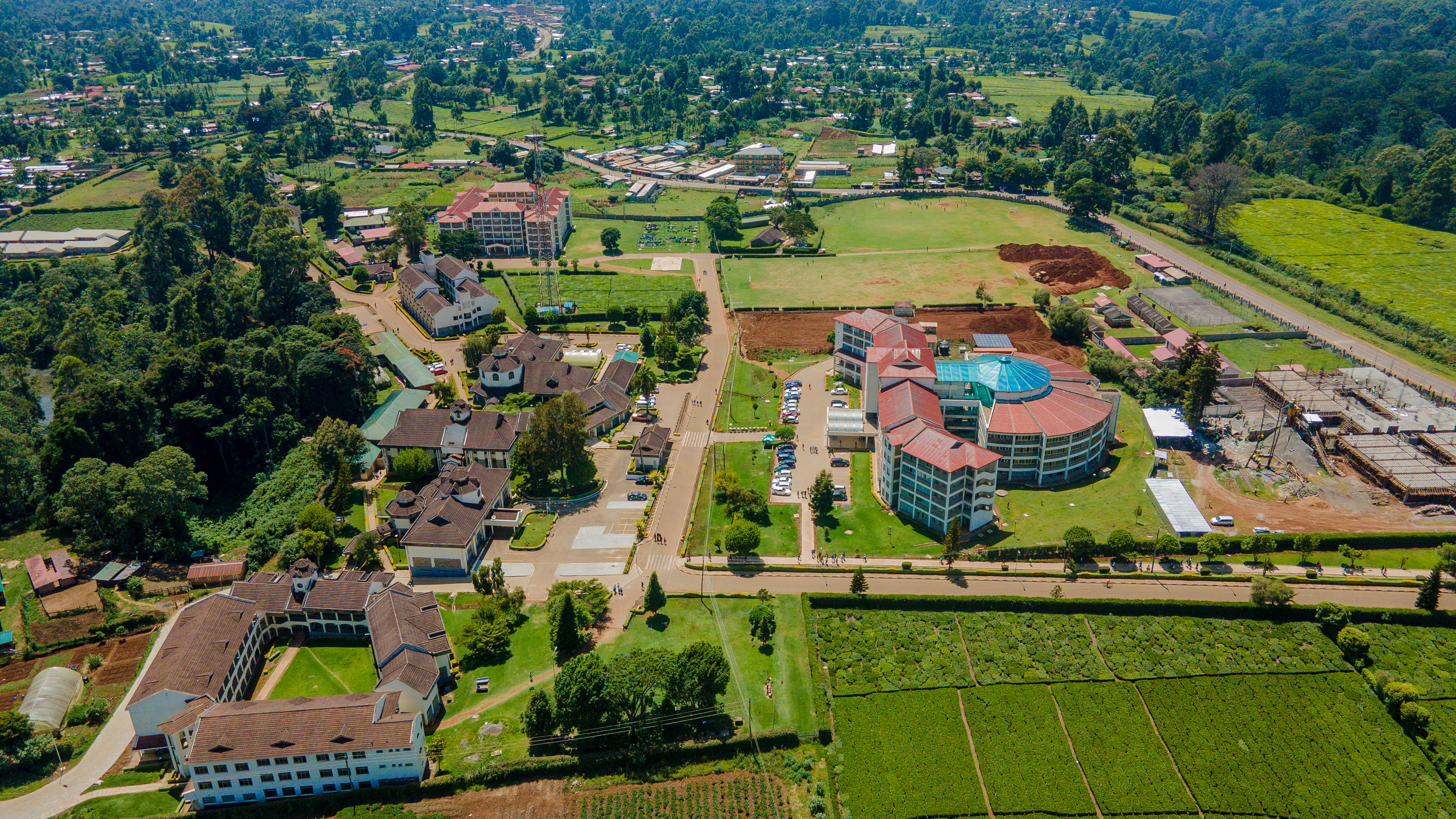 Karatina University